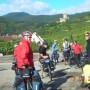 Des retraités du Suroît font du cyclisme sur la route des vins en Alsace
