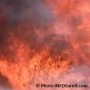 Un incendie cause la perte de 2 000 canards et perturbe les opérations des Élevages Périgord