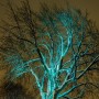 Arubulux : l’arbre qui illumine le parc Delpha-Sauvé