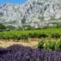 Soirée-conférence : Provence, une palette de couleurs