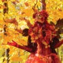 Le Festival des couleurs de Rigaud de retour du 9 au 11 octobre