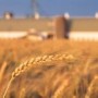 200 000 $ pour l’agriculture et le développement agroalimentaire