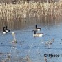 Débordement des rivières : La situation s’améliore