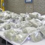 Saisies de 500 000 $ de cannabis : Beau coup de la SQ de la MRC Beauharnois-Salaberry