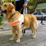 Le Club Lions Ormstown vous invite avec votre chien à la Marche Purina