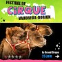 Le 7e Festival de cirque de Vaudreuil-Dorion promet