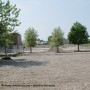 Parc-école Vert du quartier Champlain-Début des travaux