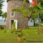 Cueillir des pommes au bord du fleuve