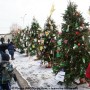 Le sapin de l’école Saint-Jean-Baptiste primé