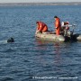 L’automobiliste retiré des eaux glacées du lac St-Louis est décédé, malgré l’intervention d’un bon samaritain