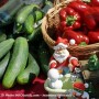 Un premier Marché de Noël dans le Haut-Saint-Laurent