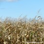 Agri Week 2012 – Les défis de nos entreprises agricoles