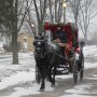 Retour des balades en calèche au centre-ville