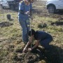 Reboisement à Beauharnois, Phase 2 : Parrainez un arbre