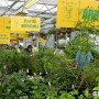 Moissons en Fleurs 2013 : Affluence record