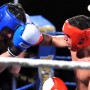 Un premier gala de boxe pour le Club Lafrenière