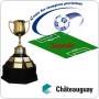 Soccer AA – la Coupe des champions à Châteauguay