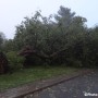 Des orages violents causent plusieurs dommages