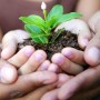 Une opportunité de partager et d’échanger vos plantes