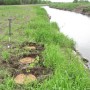 Bassin versant de la rivière des Anglais – le projet Corridors bleus et verts dépasse les attentes