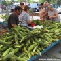 L’émission L’Épicerie au Marché public de Valleyfield