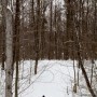 Le Bois Robert, un joyau au coeur de Beauharnois