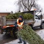 Des collectes d’arbre de Noël sur le territoire