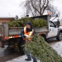 Collectes de sapins de Noël à Beauharnois et Châteauguay