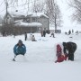 Journée d’hiver avec les Amis du Parc régional des Îles