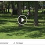L’agrile du frêne : Vaudreuil-Dorion sensibilise en vidéo