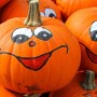 Après l’Halloween, récupération de citrouilles à Valleyfield