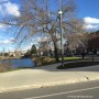 Plantation d’arbres au centre-ville de Valleyfield