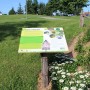 Un aménagement paysager reconnu par le Jardin botanique