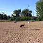 Fermeture préventive du parc à chiens à Valleyfield