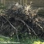 Collectes de branches et de feuilles mortes à Châteauguay