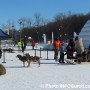 Place au 2e Festival Glisse et Réglisse à Rigaud