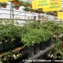 L’expo-vente Moissons en Fleurs de retour en mai prochain