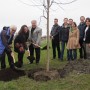 Une Politique de l’arbre pour Salaberry-de-Valleyfield