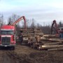 Bon bilan pour le secteur agroforestier de la Coop Unifrontières