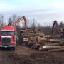 Bon bilan pour le secteur agroforestier de la Coop Unifrontières