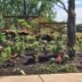 Nouveau projet écologique : les jardins de l’île Saint-Bernard
