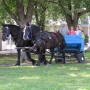 5 août : fête familiale 2017 à Saint-Louis-Gonzague