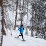 Plein air – Découvrir ou redécouvrir le Bois Robert