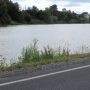 Distribution d’arbres et grand nettoyage des berges de la rivière Châteauguay