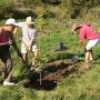 Semaine de l’arbre à Valleyfield : documentaire, conférence et plantation citoyenne