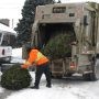 Récupération des sapins de noël naturels à l’Écocentre et via la collecte du 11 janvier