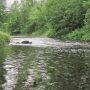 Agriculture et santé des cours d’eau : atelier gratuit avec Ambioterra