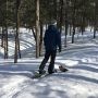 Le Bois Robert à Beauharnois : pour les adeptes de plein air