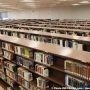 Une programmation hiver-printemps pour tous à la bibliothèque Armand-Frappier