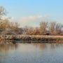 Trois projets de bandes riveraines avec le Comité ZIP du Haut Saint-Laurent